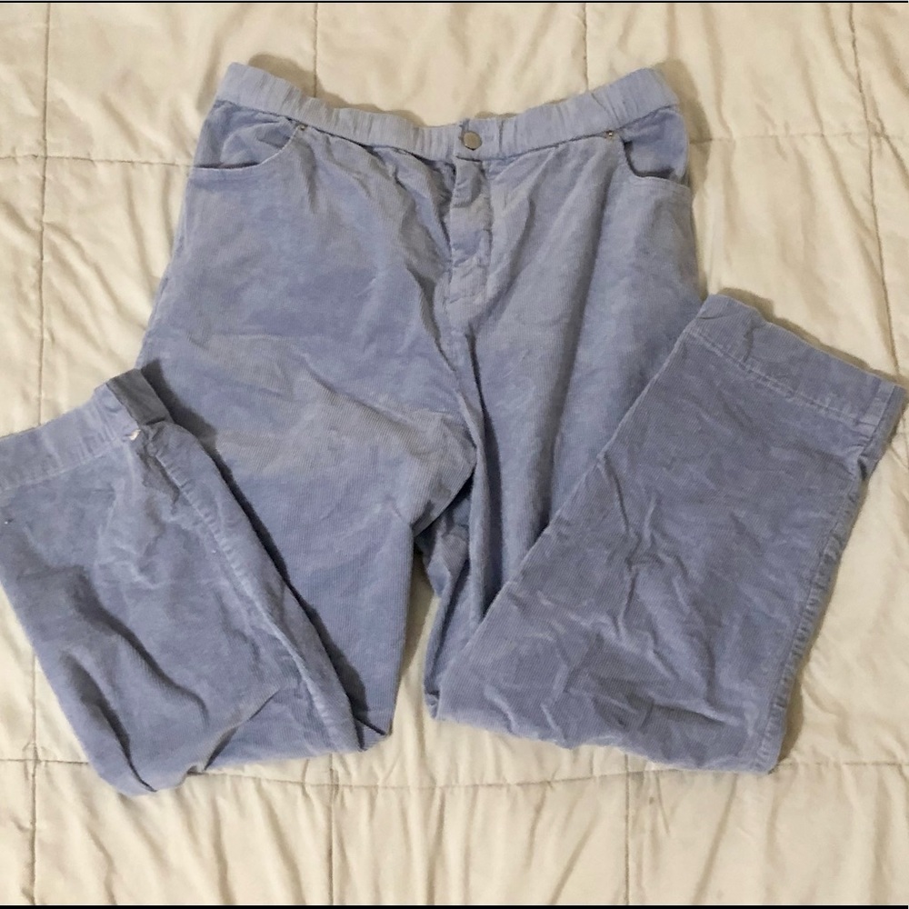 Wild Fable Periwinkle Corduroy Baggy Pants